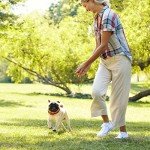 Milk-Bone Chicken Rawhide-Free Dog Treats, 16 Count