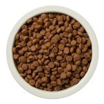 Amazon Brand - Wag Dry Dog Food Grain-Free Turkey & Lentil Recipe, High Protein (4 lb bag)