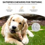 2 Pack Dog Chew Bones for Aggressive Chewers, Tough Nylon Long-Lasting Dog Toys for Large and Medium Dogs, Puppy Teething, Teeth Cleaning, Interactive Durable Chew Toys for Boredom and Anxiety Relief