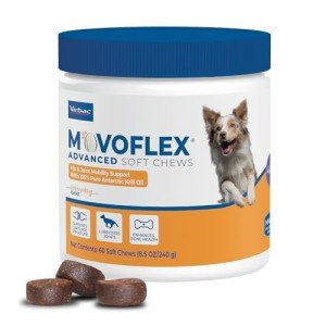 MOVOFLEX Advanced Joint Support Supplement for Medium Dogs - Hip and Joint Support - Dog Joint Supplement - Hip and Joint Supplement Dogs - 60 Soft Chews (by Virbac)