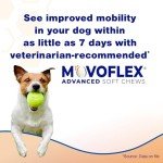 MOVOFLEX Advanced Joint Support Supplement for Medium Dogs - Hip and Joint Support - Dog Joint Supplement - Hip and Joint Supplement Dogs - 60 Soft Chews (by Virbac)