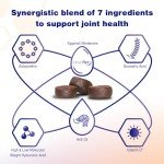 MOVOFLEX Advanced Joint Support Supplement for Medium Dogs - Hip and Joint Support - Dog Joint Supplement - Hip and Joint Supplement Dogs - 60 Soft Chews (by Virbac)