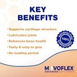 MOVOFLEX Advanced Joint Support Supplement for Medium Dogs - Hip and Joint Support - Dog Joint Supplement - Hip and Joint Supplement Dogs - 60 Soft Chews (by Virbac)
