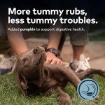 Ziwi Peak Steam & Dried Dog Food - Grass-fed Beef w/Pumpkin - High Protein, Low Carb, All Breeds & Lifestages, for Digestive Health (28.8oz)