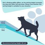 Epetlover 62 Inches Folding Dog Ramp for Cars Trucks SUVs Portable Pet Ramps for Large Dogs Non-Slip Stairs Step Ladder with Raised Siderails, Black