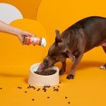 Barkbox – Bada Bing Bada Beef – Dry Dog Food Toppers with High Protein, Limited Ingredients – Meal Enhancer for Large & Small Breeds – 4.6 Oz