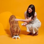 Barkbox – Bada Bing Bada Beef – Dry Dog Food Toppers with High Protein, Limited Ingredients – Meal Enhancer for Large & Small Breeds – 4.6 Oz