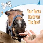 The Lazy Dog Cookie Co. Bitscuits, Horse Treats, Alfalfa, Flax & Peppermint, Pocket Size Biscuits for Horses & Ponies, All Natural Horse Cookies, Made in USA, 14 oz. Bag (Pack of 2)