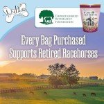 The Lazy Dog Cookie Co. Bitscuits, Horse Treats, Alfalfa, Flax & Peppermint, Pocket Size Biscuits for Horses & Ponies, All Natural Horse Cookies, Made in USA, 14 oz. Bag (Pack of 2)