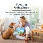 Blue Buffalo Nudges Jerky Cuts Natural Dog Treats Chicken Bag