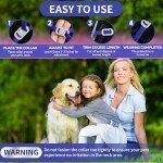 YOTANGO 4 Pack Flea Collar for Dogs, Dog Flea Collar Waterproof, 32 Months Flea and Tick Prevention for Dogs, Dog Flea and Tick Treatment, Adjustable Flea and Tick Collar for Dogs Puppy(Blue&Pink)