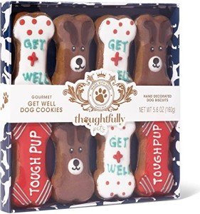 Thoughtfully Pets, Get Well Dog Cookies Gift Set, Crunchy Dog Treats Includes Colorfully Hand Decorated Get Well Themed Dog Biscuits to Brighten Their Day, Pack of 8