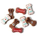 Thoughtfully Pets, Get Well Dog Cookies Gift Set, Crunchy Dog Treats Includes Colorfully Hand Decorated Get Well Themed Dog Biscuits to Brighten Their Day, Pack of 8