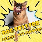 Dog Chew Toys for Aggressive Chewers: 2 Pack Indestructible Dog Toy, Tough Dog Toys for Large Dogs, Dog Bones Nylon Toys for Small, Medium, Large Breed to Keep Them Busy