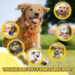 Dog Chew Toys for Aggressive Chewers: 2 Pack Indestructible Dog Toy, Tough Dog Toys for Large Dogs, Dog Bones Nylon Toys for Small, Medium, Large Breed to Keep Them Busy