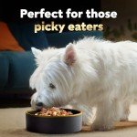 CESAR SIMPLY CRAFTED Adult Wet Dog Food Meal Topper Variety Pack, Chicken, Duck, Purple Potatoes, Pumpkin, Green Beans & Brown Rice and Chicken, Carrots, Barley & Spinach, 1.3 oz. Tubs, Pack of 8