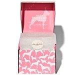 Thoughtfully Pets, Dog Happy Birthday Mini Cookie Cake, Pink, Peanut Butter Flavored, Hand Decorated Hollow Biscuit Cake for All Dog Breeds