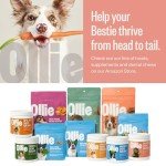 Ollie Beef and Sweet Potato Jerky Recipe Dog Treats - Dog Jerky Treats All Natural - Healthy Dog Treats - Beef Jerky for Dogs - Real Meat Dog Treats 5 Oz.