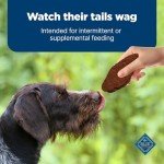 Blue Buffalo Nudges Jerky Cuts Dog Treats, Made in the USA with Natural Ingredients, Steak, 16-oz Bag