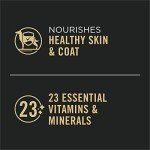 Purina Pro Plan Grain Free Wet Dog Food Variety Pack, Grain Free Chicken and Turkey Entrees - (Pack of 12) 13 oz. Cans