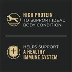 Purina Pro Plan Grain Free Wet Dog Food Variety Pack, Grain Free Chicken and Turkey Entrees - (Pack of 12) 13 oz. Cans