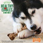 Nylabone Healthy Edibles Natural Long Lasting Venison Flavor Dog Chew Treats Wild Bone Large/Giant(1 Count)