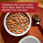 Rachael Ray Nutrish Wet Dog Food, Beef & Pumpkin, 13 Ounce Can (Pack of 12)