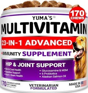 Dog Multivitamin Chewable with Glucosamine - Dog Vitamins and Supplements - 170 Treats - Senior & Puppy Multivitamin for Dogs - Hip & Joint Support - Immune Health, Skin, Heart, Digestion, Probiotics