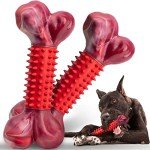 Apasiri Tough Dog Toys for Aggressive Chewers Large Breed, Chew Toys, Bones Made with Nylon and Rubber, Big Indestructible Toy, Medium Puppy Teething Chew (2 Pack)