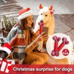 Apasiri Tough Dog Toys for Aggressive Chewers Large Breed, Chew Toys, Bones Made with Nylon and Rubber, Big Indestructible Toy, Medium Puppy Teething Chew (2 Pack)