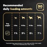 CESAR Adult Wet Dog Food Classic Loaf in Sauce Filet Mignon Flavor, 3.5 oz. Easy Peel Trays, Pack of 24