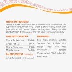 Good 'n' Fun Triple Flavor Mini Bones Chews for Dogs, 6 Count, Treat Your Small Dog to Holiday Chews Made with Real Beef Hide, Chicken and Artificial Mint Flavor