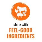 Good 'n' Fun Triple Flavor Mini Bones Chews for Dogs, 6 Count, Treat Your Small Dog to Holiday Chews Made with Real Beef Hide, Chicken and Artificial Mint Flavor