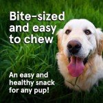 Real Meat Dog Treats - 4oz Bag of Bite-Sized Air-Dried Lamb & Liver Jerky for Dogs - Grain-Free Jerky Dog Treats Made up of 95% Human-Grade, Free-Range, Grass Fed Lamb - All-Natural Dog Treats