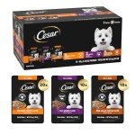 Cesar Wet Dog Food 40 Count Multipack