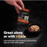 Cesar Wet Dog Food 40 Count Multipack