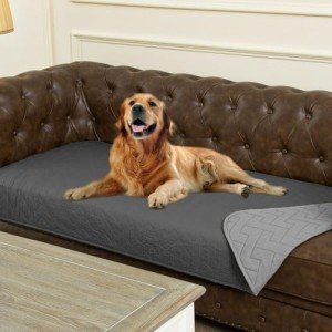 Ameritex 100% Waterproof Dog Bed Blankets Double Sided Dog Couch Cover Knurling Pattern pet Bed Cover Reversible Furniture Couch Sofa Car for Puppy Kids (30x70 Inch(Pack of 1), Darkgrey/lightgrey)