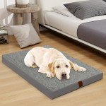 Easy-Going Dog Bed for Medium Dogs, Egg Crate Foam Dog Bed with Removable Washable Cover and Non-Slip Bottom, Waterproof and Machine Washable Pet Bed Cover (30x20x3 in, Grey)