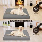 Easy-Going Dog Bed for Medium Dogs, Egg Crate Foam Dog Bed with Removable Washable Cover and Non-Slip Bottom, Waterproof and Machine Washable Pet Bed Cover (30x20x3 in, Grey)