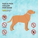 Dog Flea Tick Prevention Collar: Effective Flea Collar and Prevention for Dogs - Safe Dog Ticks Fleas Collars - Reliable Tick Flea Collars for Dogs - 24 Month Protection 4-Pack…