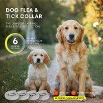 Dog Flea Tick Prevention Collar: Effective Flea Collar and Prevention for Dogs - Safe Dog Ticks Fleas Collars - Reliable Tick Flea Collars for Dogs - 24 Month Protection 4-Pack…