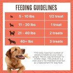 Waggin' Train Salmon Jerky Tenders for Skin & Coat Support for Dogs - 12 oz Pouch - Grain Free, High Protein Dog Treat