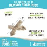 Raw Paws Antler Shaped Dog Treats (6 Pack) – Dog Cookies for Large Dogs & Medium Dogs, Crunchy Dog Treats Chicken Flavored, Large Dog Biscuits for Big Dogs, Antler Shaped Dog Snacks Made in USA