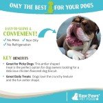 Raw Paws Antler Shaped Dog Treats (6 Pack) – Dog Cookies for Large Dogs & Medium Dogs, Crunchy Dog Treats Chicken Flavored, Large Dog Biscuits for Big Dogs, Antler Shaped Dog Snacks Made in USA