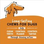 Ultra Chewy Peanut Butter Double Treat Bones: Long-Lasting Chews Made in USA, Highly Digestible, for Aggressive Chewers (Peanut Butter, 6 Count)