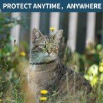 Flea Collar for Cats, 4 Pack Cat Flea and Tick Collar 32 Months Cat Flea and Tick Prevention Collars, Waterproof Adjustable Cats Flea Collar Kitten, Tick and Flea Treatment Collar for Cat, Black