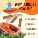 PAWUP Salmon Fillet Dog Treats, Dog Jerky with Fish Skin, Healthy High Protein Dog Snacks, Natural Omega 3-6, Low in Fat with Taurine,12.5oz (Smoked Flavor)