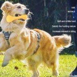 Galepromot 4 Pcs Bite-Resistant Dog Toys Squeaky Chewing Toys Tooth Cleaning Dog Supplies, Golden Retriever Teddy Pets, etc, Dog Training, Sofa Damage Prevention, Hamburger Pet Toys Dog Squeak Toys