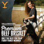 Yellowstone Limited Ingredient Dog Treats Beef Brisket - Healthy Dog Treats Made in USA - Air Dried Beef Collagen Dog Jerky Treats - Crunchy & Chewy Dog Treats - Beef Dog Treats Jerky - 4 oz
