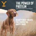 Yellowstone Limited Ingredient Dog Treats Beef Brisket - Healthy Dog Treats Made in USA - Air Dried Beef Collagen Dog Jerky Treats - Crunchy & Chewy Dog Treats - Beef Dog Treats Jerky - 4 oz
